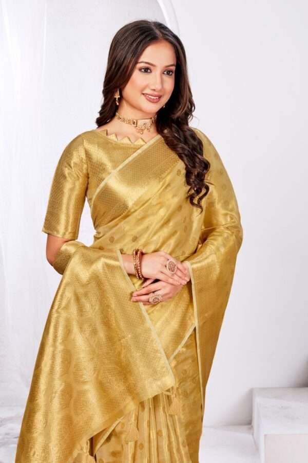 Cream Banarasi Silk Saree bs1