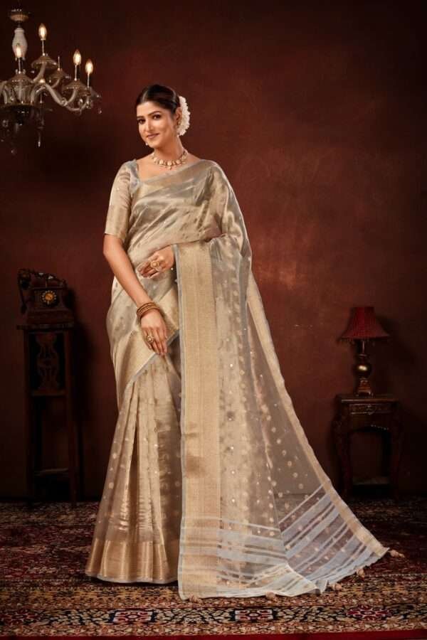 Grayish designer tissue silk saree tsm1