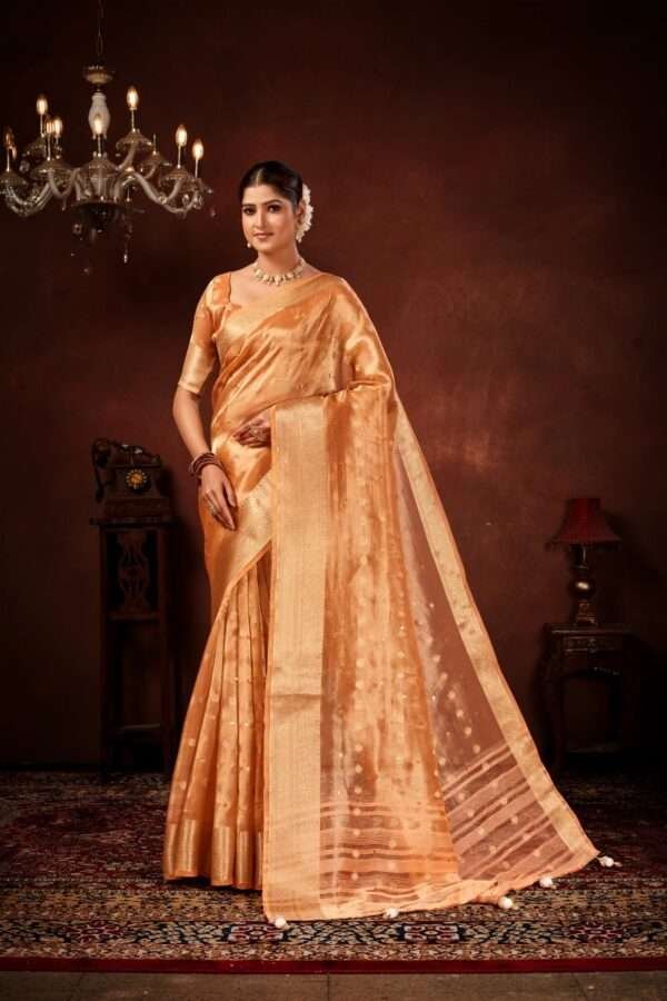 Rust orange designer tissue silk saree tsm4