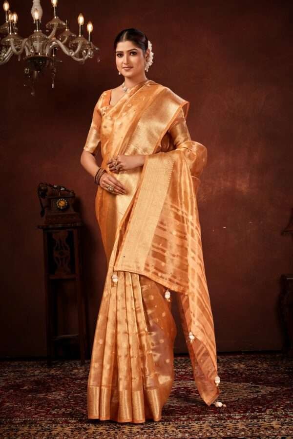 Rust orange designer tissue silk saree tsm4 - Image 2